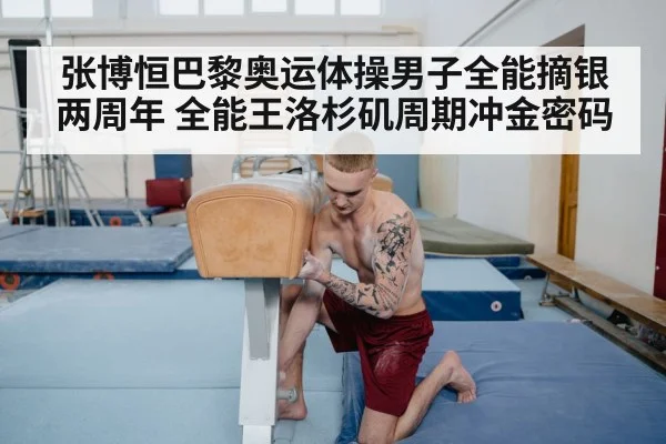 male gymnast on pommel horse - jiuyouhui